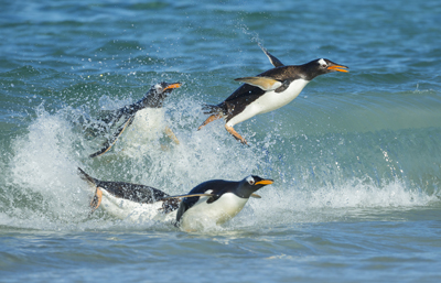 photo by Oliver Smart